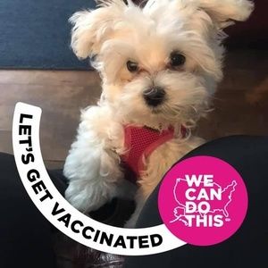 Meet your Posher, Angie